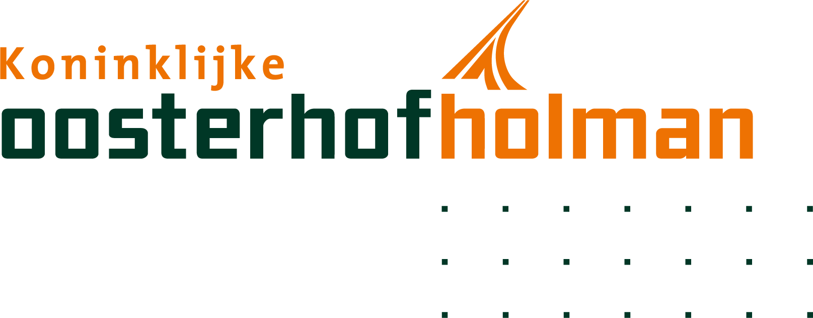 Groot onderhoud N978 Leek - Enumatil - Zuidhorn logo
