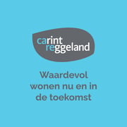 Herontwikkeling Stoevelaar terrein Goor