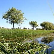 Vergroenen Gemeente Neder-Betuwe
