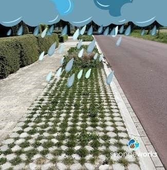 Admin-uploaded image