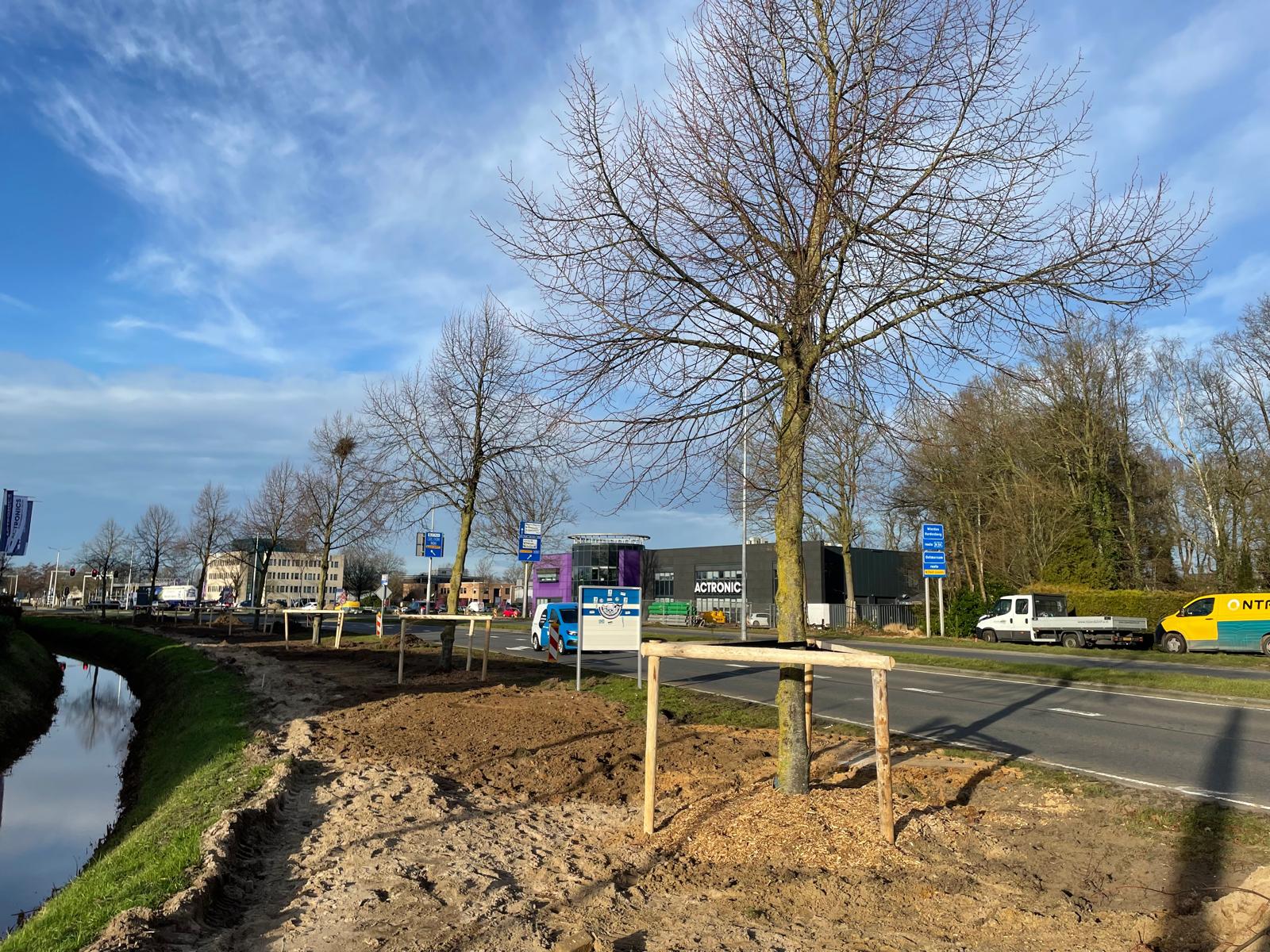 Bomen verplaatst aan Kleine Bunder