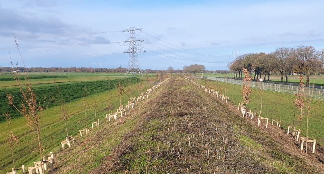 Grondwal en bomen geplaatst