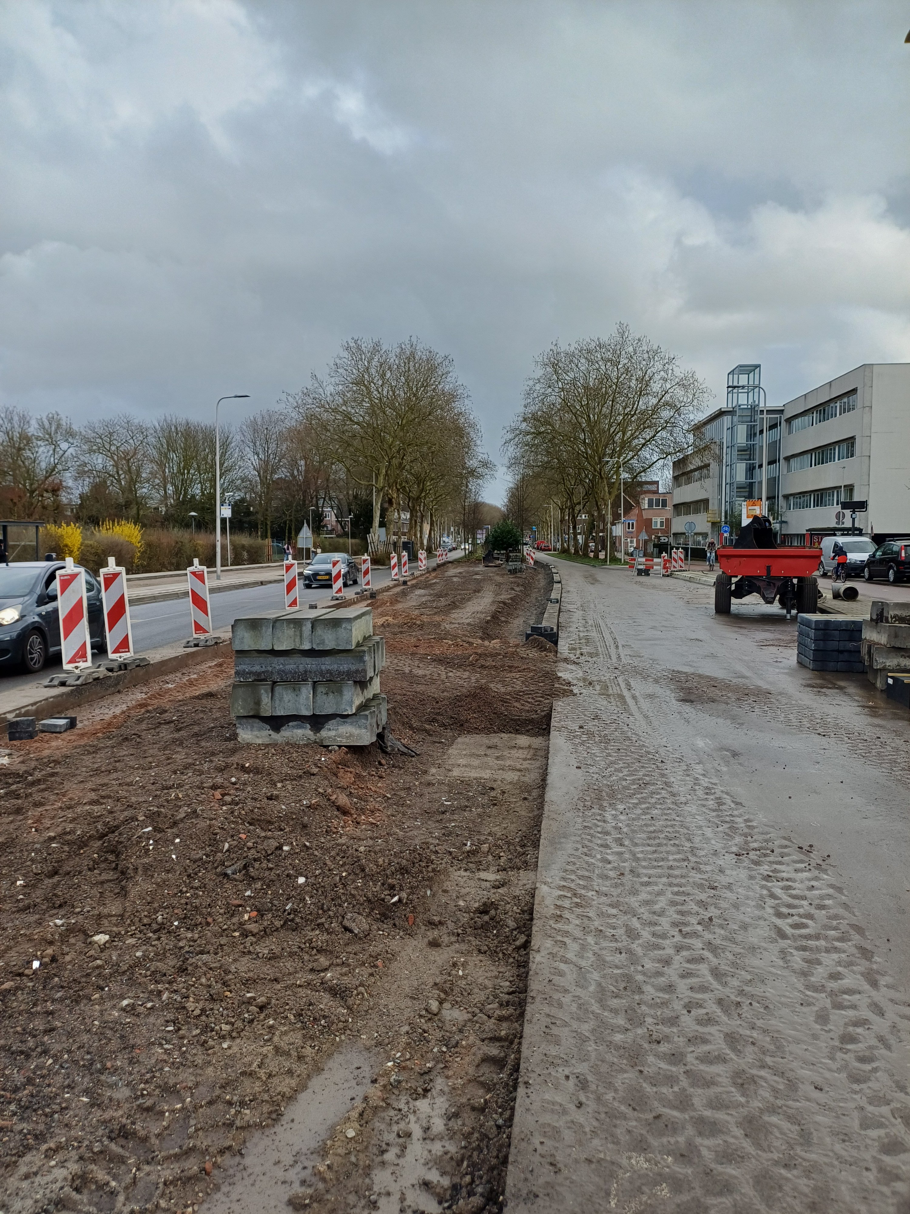 Nieuwe middenberm 't Goylaan