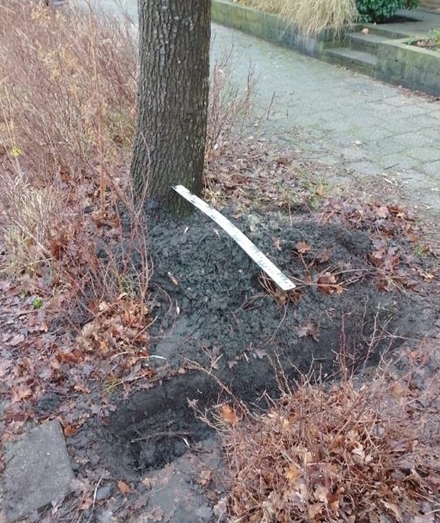Admin-uploaded image