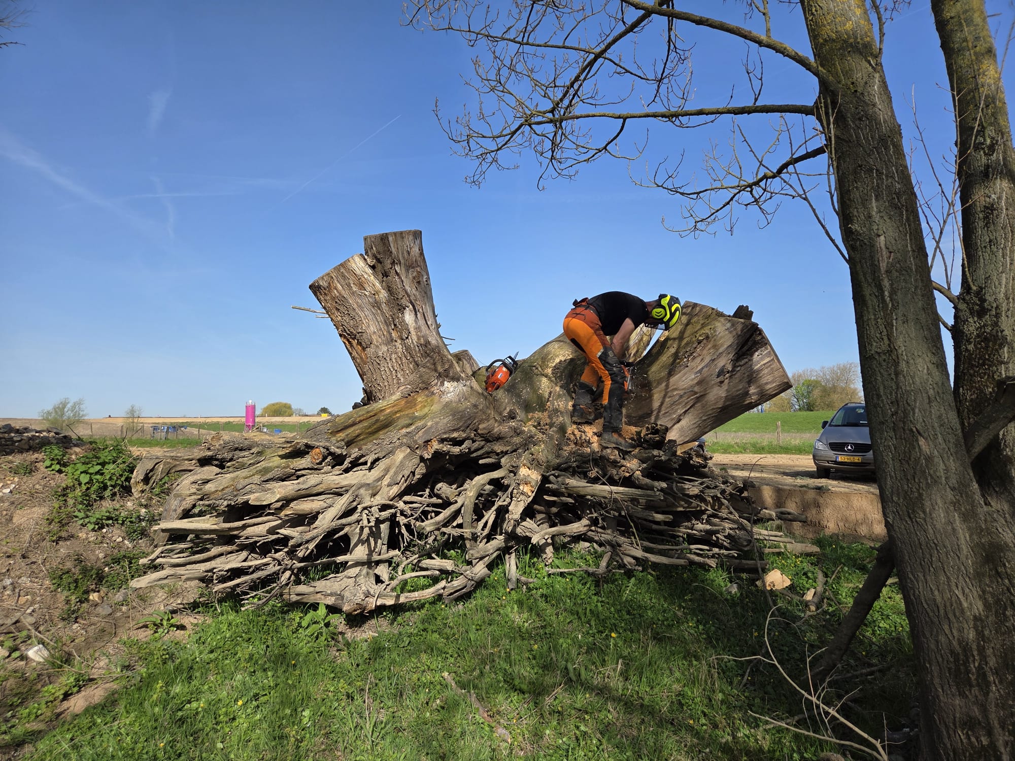 Boomverzorger Hindry Bos in actie