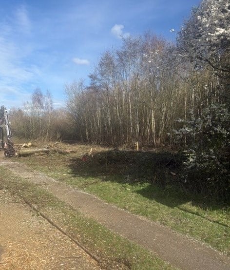 Marston Road - De-vegetation clearance