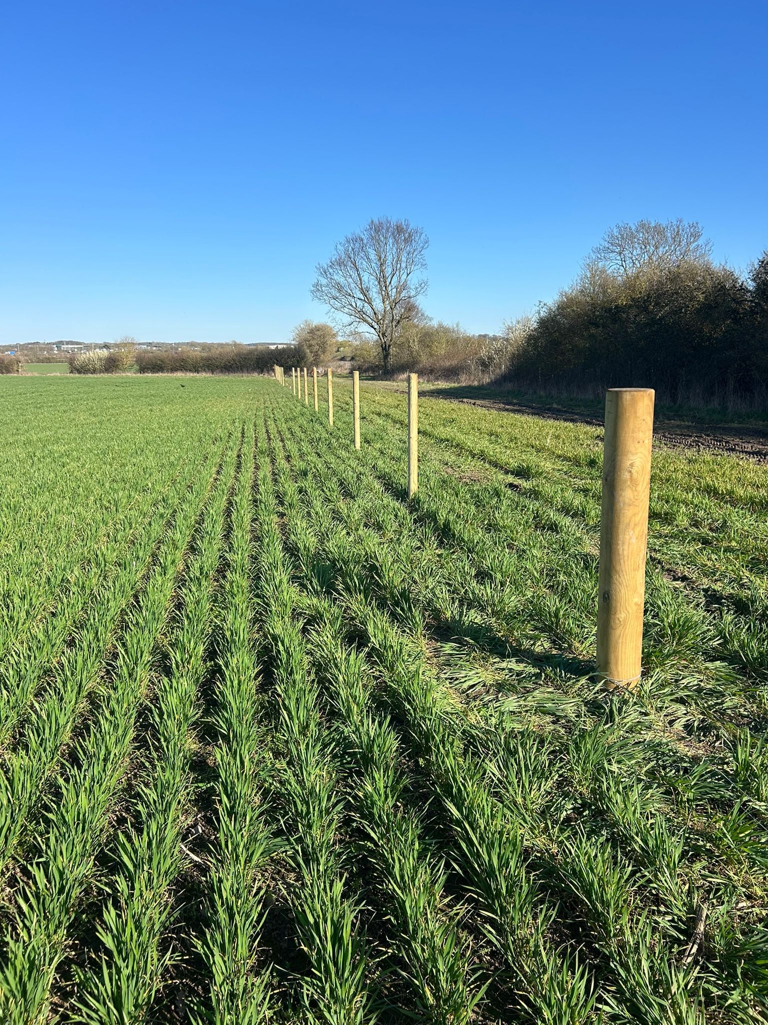 Boundary fencing installation