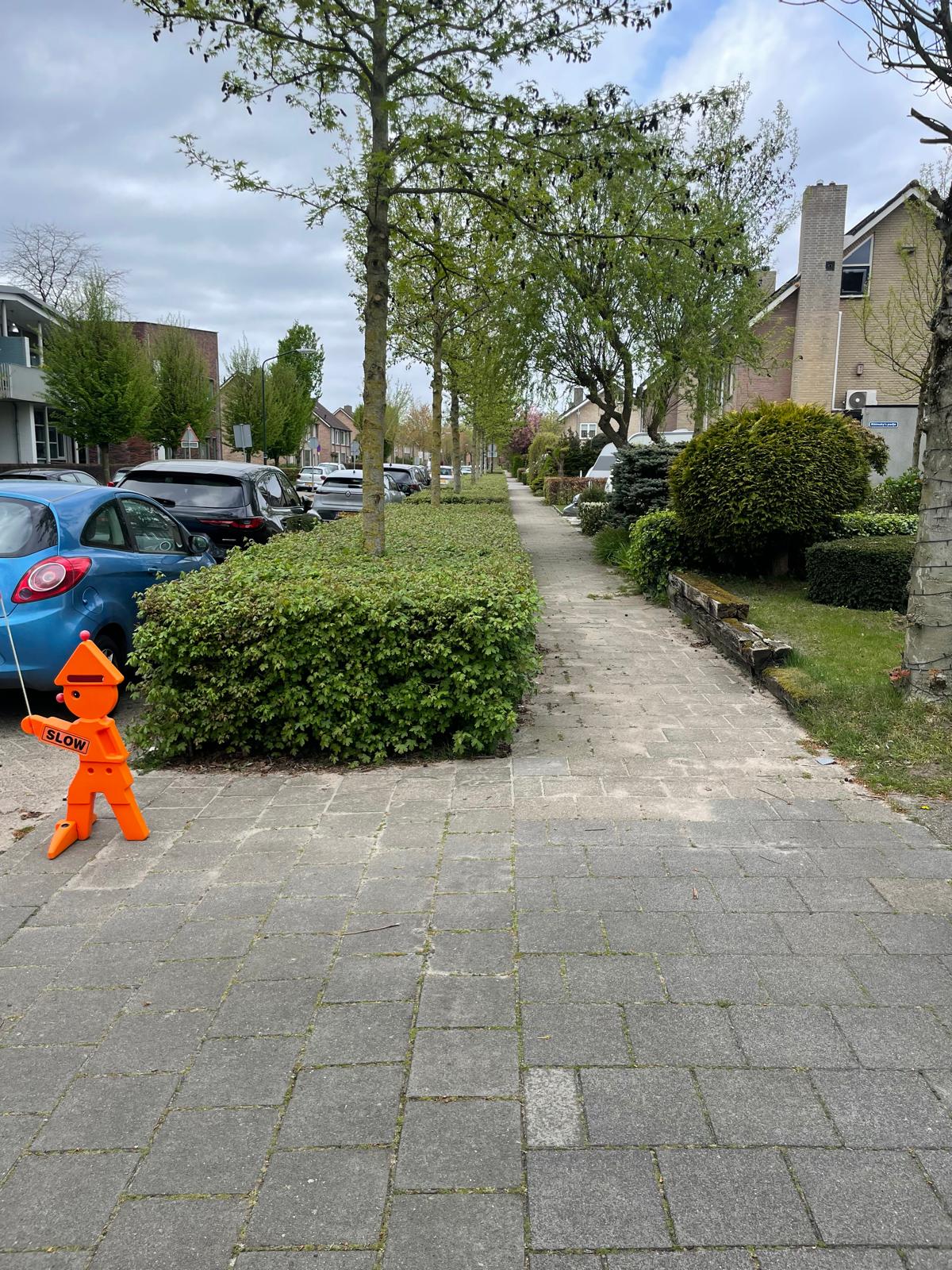 Admin-uploaded image