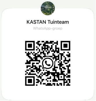 Admin-uploaded image