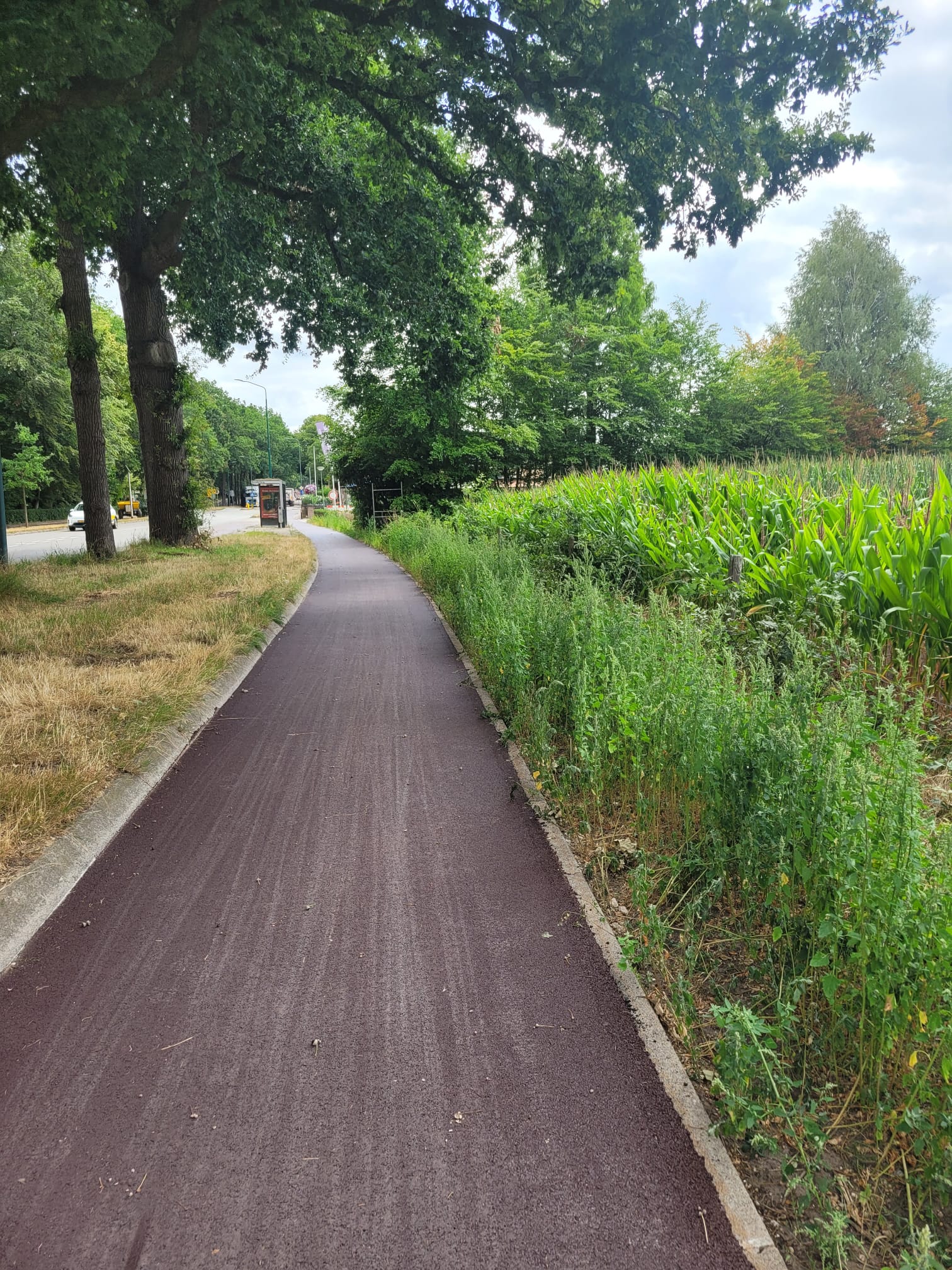 Fietspad ter hoogte van de Donderbergrotonde