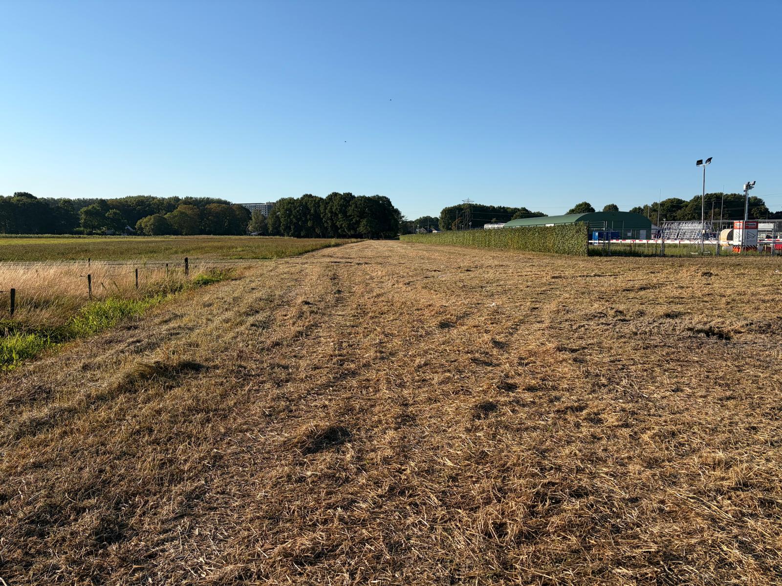 Uitzicht over het gemaaide gras