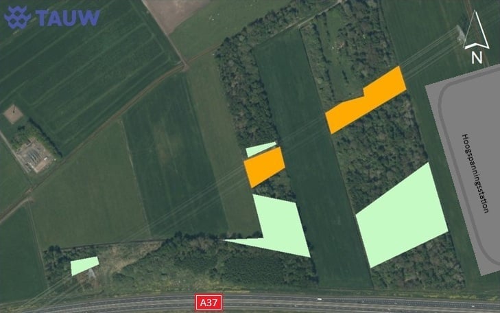De lichtgroene vlakken worden gekapt. Op de oranje vlakken is ruimte voor spontane bosontwikkeling.