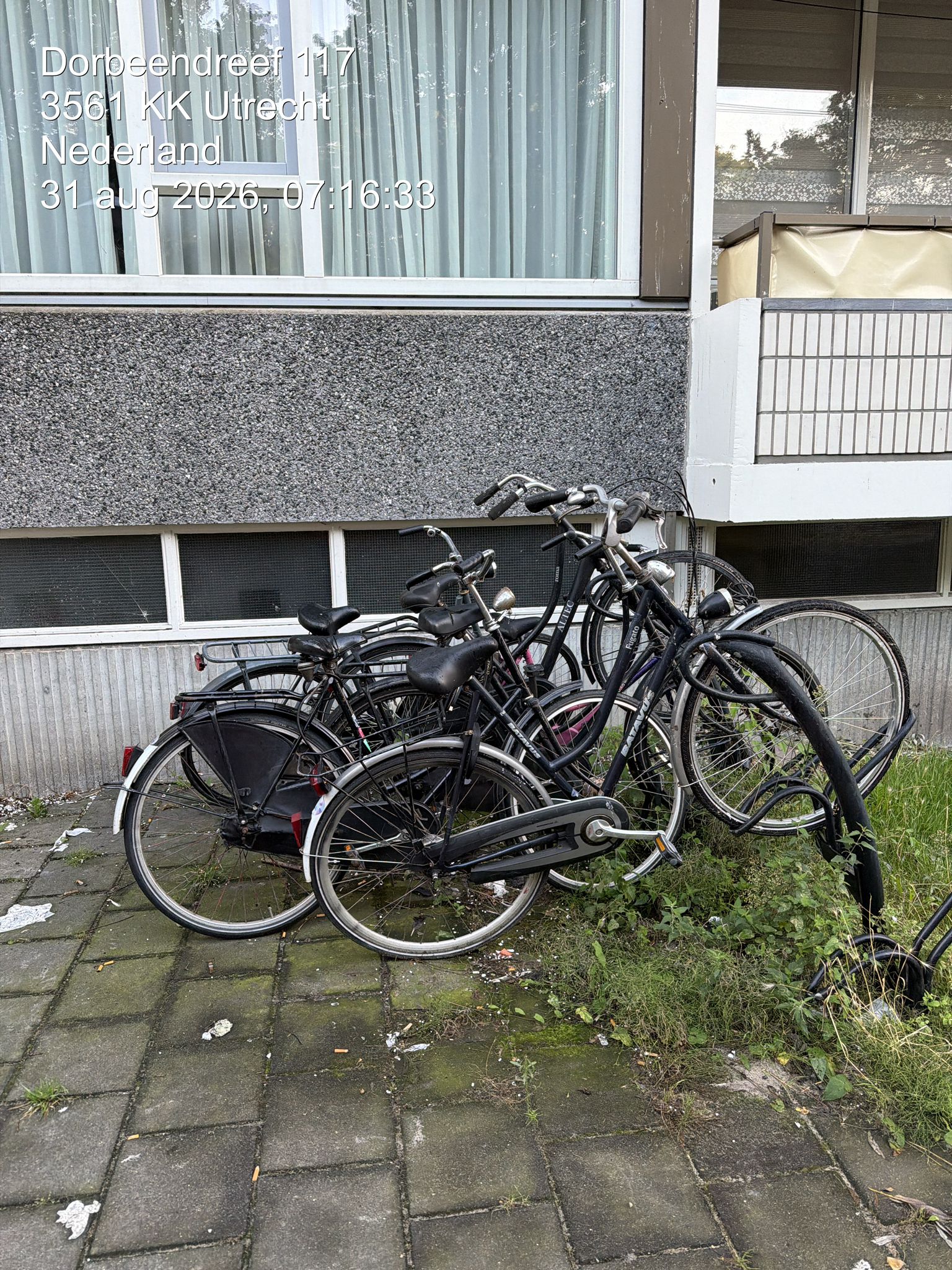 Admin-uploaded image
